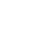 보성녹차