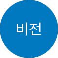 비전