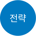 전략