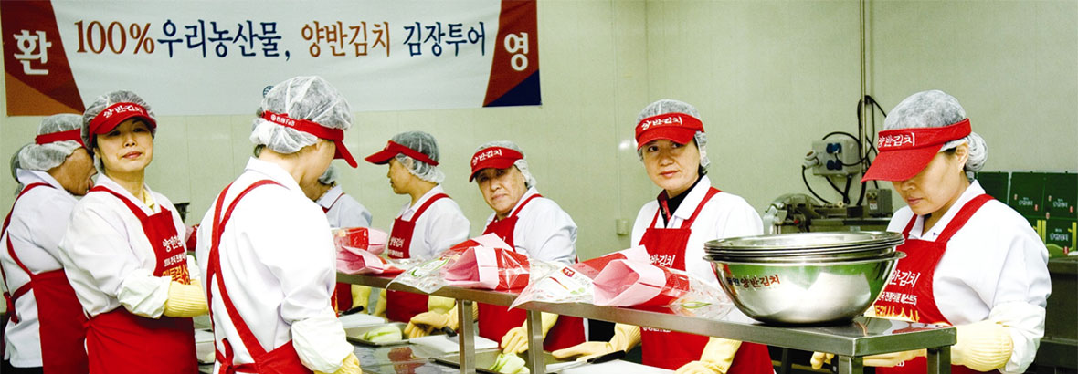 社会貢献 - 100%우리농산물, 양반김치 김장투어