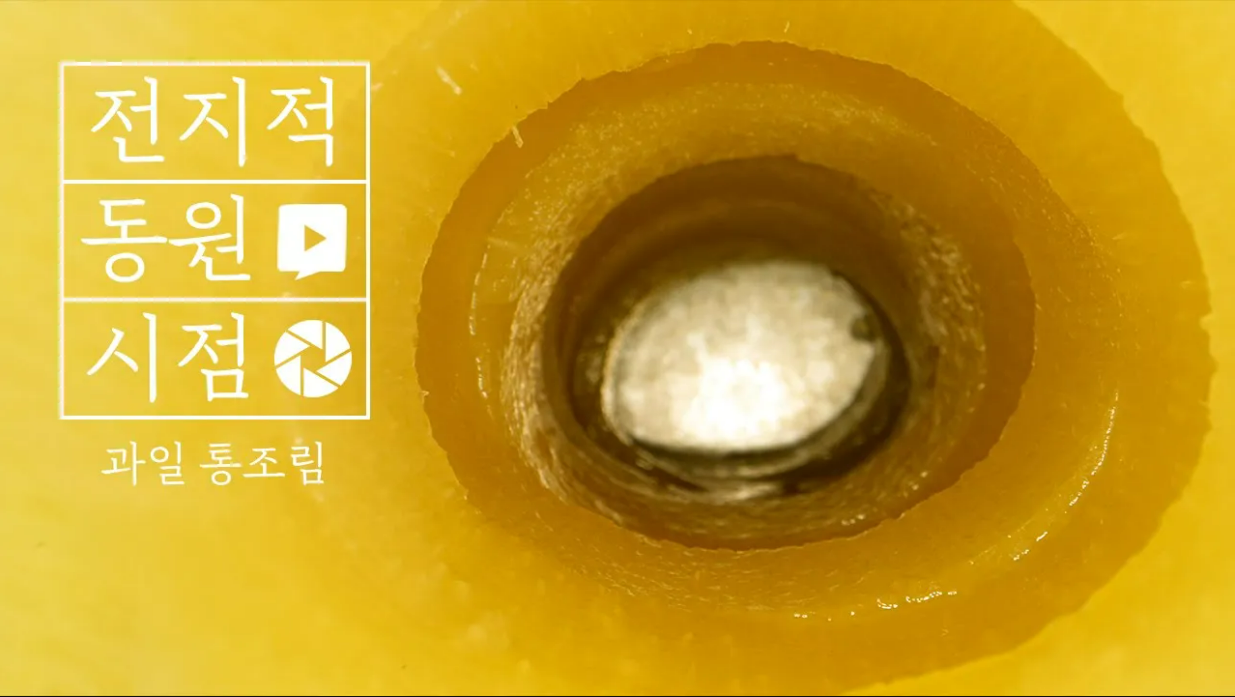 [전지적 동원 시점] 뭘 좋아할지 몰라서 다 준비했어, 통조림 과일 모음.ZIP